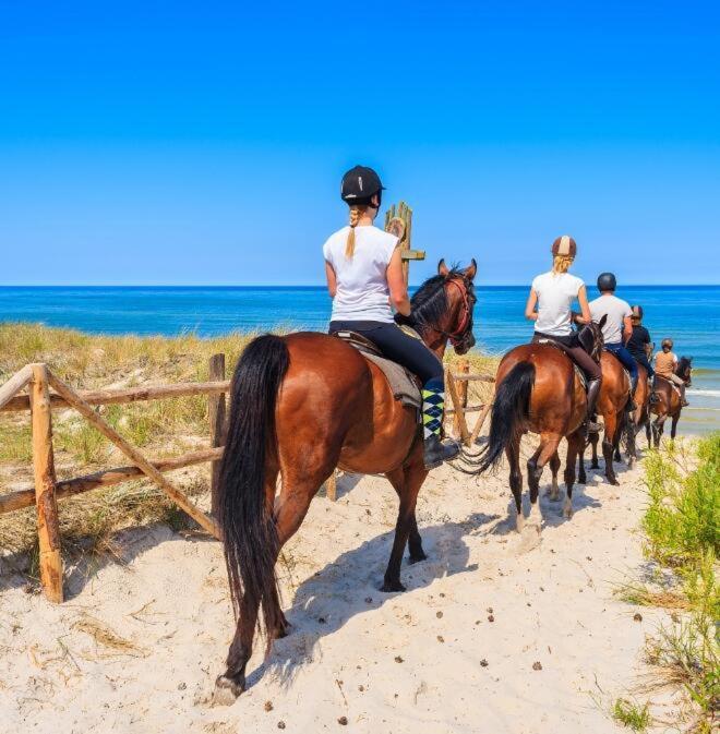 Casa Vacanza Gallipoli Centro المظهر الخارجي الصورة
